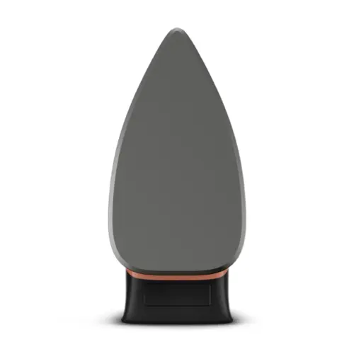 Ferro À Seco Drygliss com Base Antiaderente FS31 127v Preto - Arno