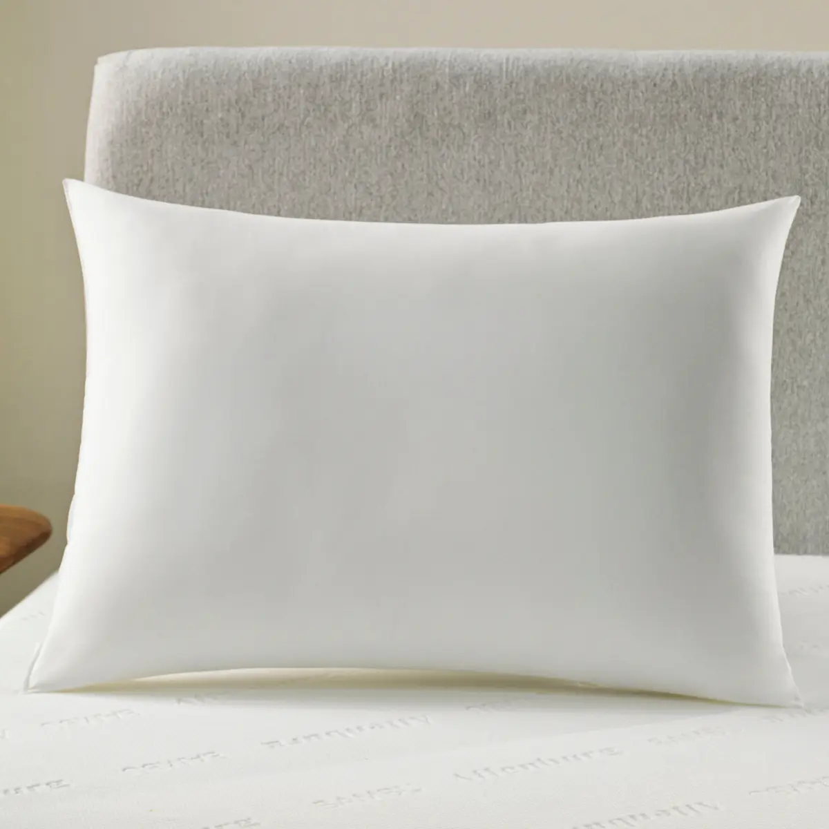 Travesseiro Toque Aveludado 100 Anos 48X68 Branco - Altenburg