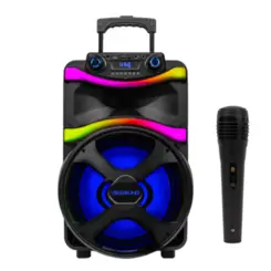 Caixa de Som Amplificada Vibe Sound V12 com Microfone Bluetooth VS001 Preto - Vivensis