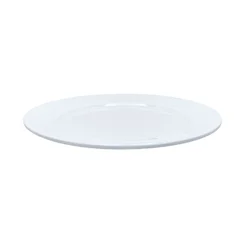 Prato de 9,5 Polegadas - BZ/IMP