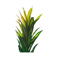 Planta Artificial Artrilux Eucalipto Decorativa 1,60m HG-4813 - AP / MT
